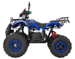 ECO ATV 4